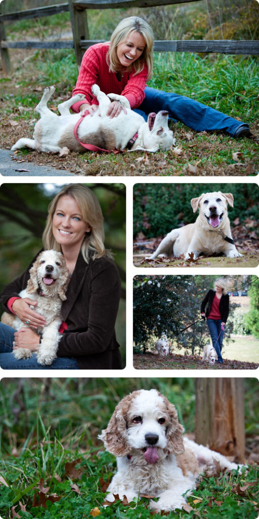 Dog Sitting + Dog Walker in Cary Dog Sitters North Raleigh